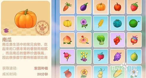 摩尔庄园手游火龙果种子获取攻略:详解火龙果种子的获取方法与步骤