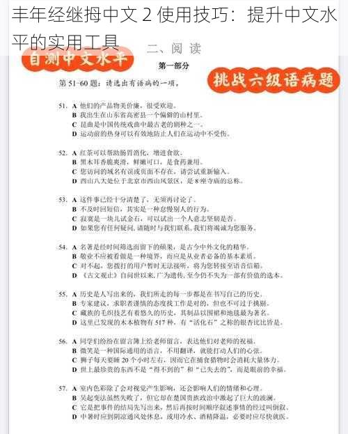 丰年经继拇中文 2 使用技巧:提升中文水平的实用工具
