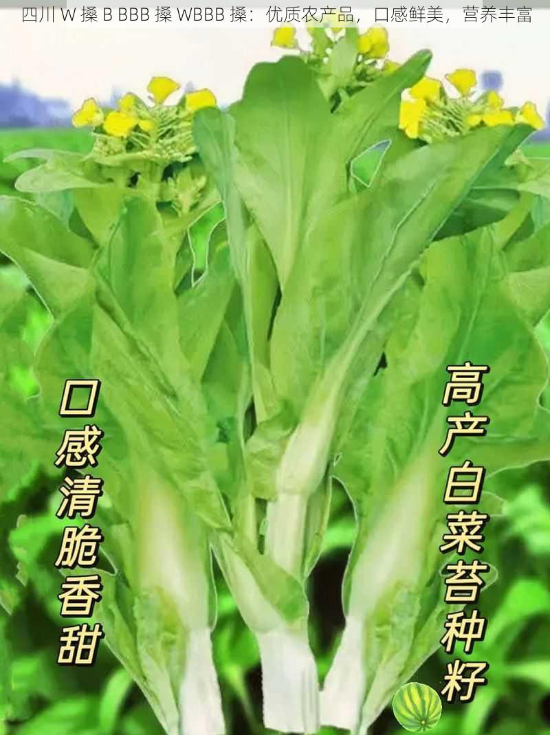 四川 W 搡 B BBB 搡 WBBB 搡:优质农产品,口感鲜美,营养丰富