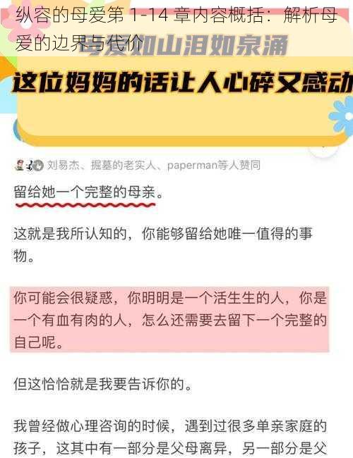 纵容的母爱第 1-14 章内容概括:解析母爱的边界与代价