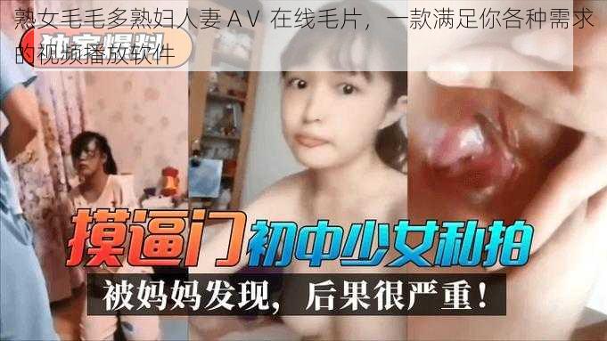 熟女毛毛多熟妇人妻 AⅤ 在线毛片,一款满足你各种需求的视频播放软件