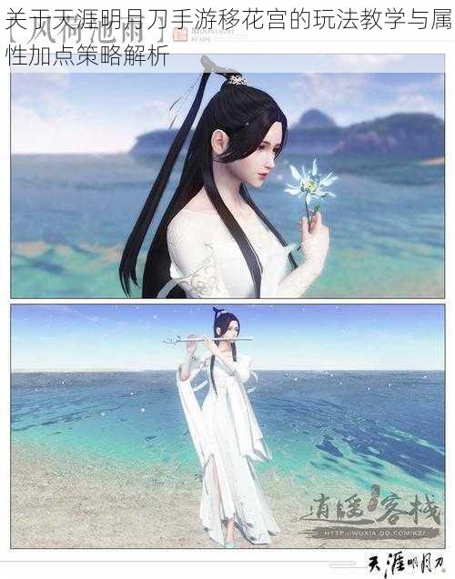 关于天涯明月刀手游移花宫的玩法教学与属性加点策略解析