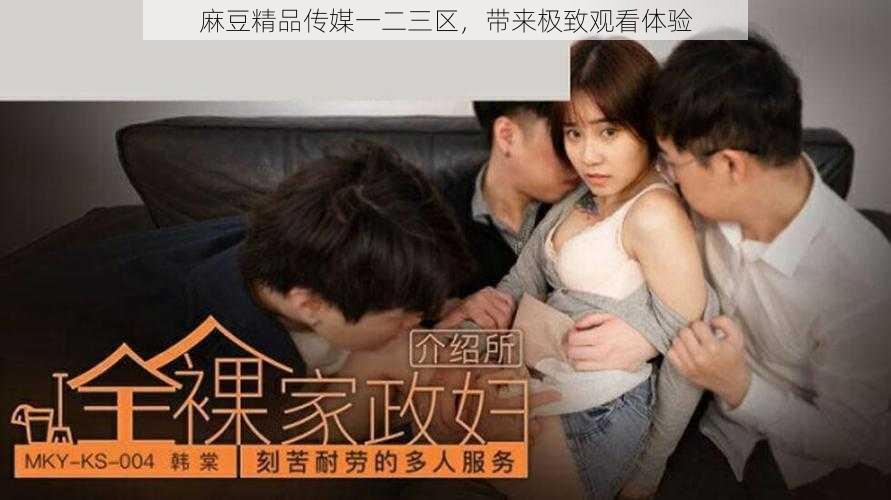 麻豆精品传媒一二三区,带来极致观看体验