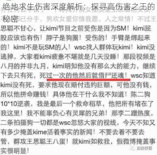 绝地求生伤害深度解析:探寻高伤害之王的秘密